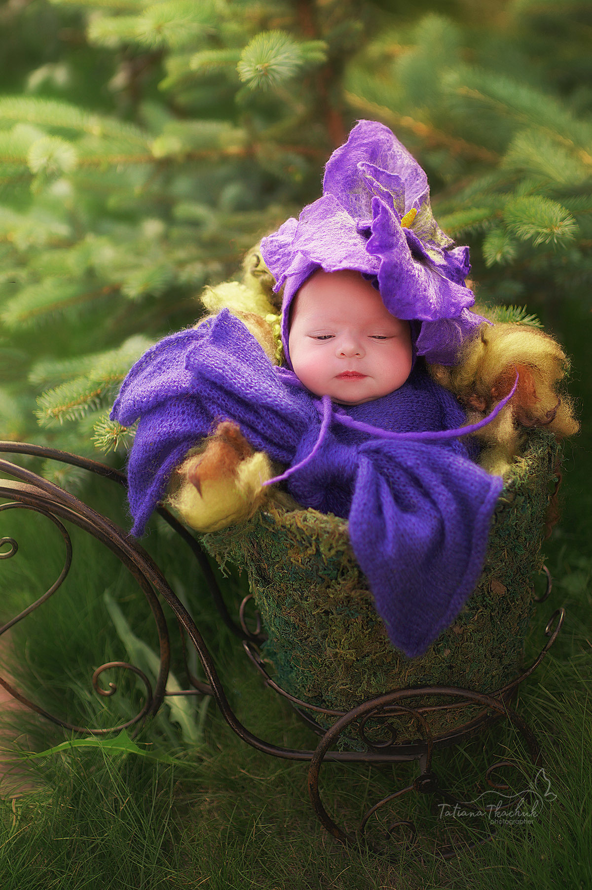 Новорожденные. Фотограф новорожденных беременных в Тюмени Ткачук Татьяна