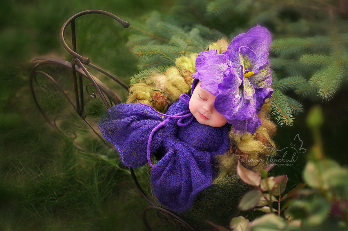 Новорожденные. Фотограф новорожденных беременных в Тюмени Ткачук Татьяна