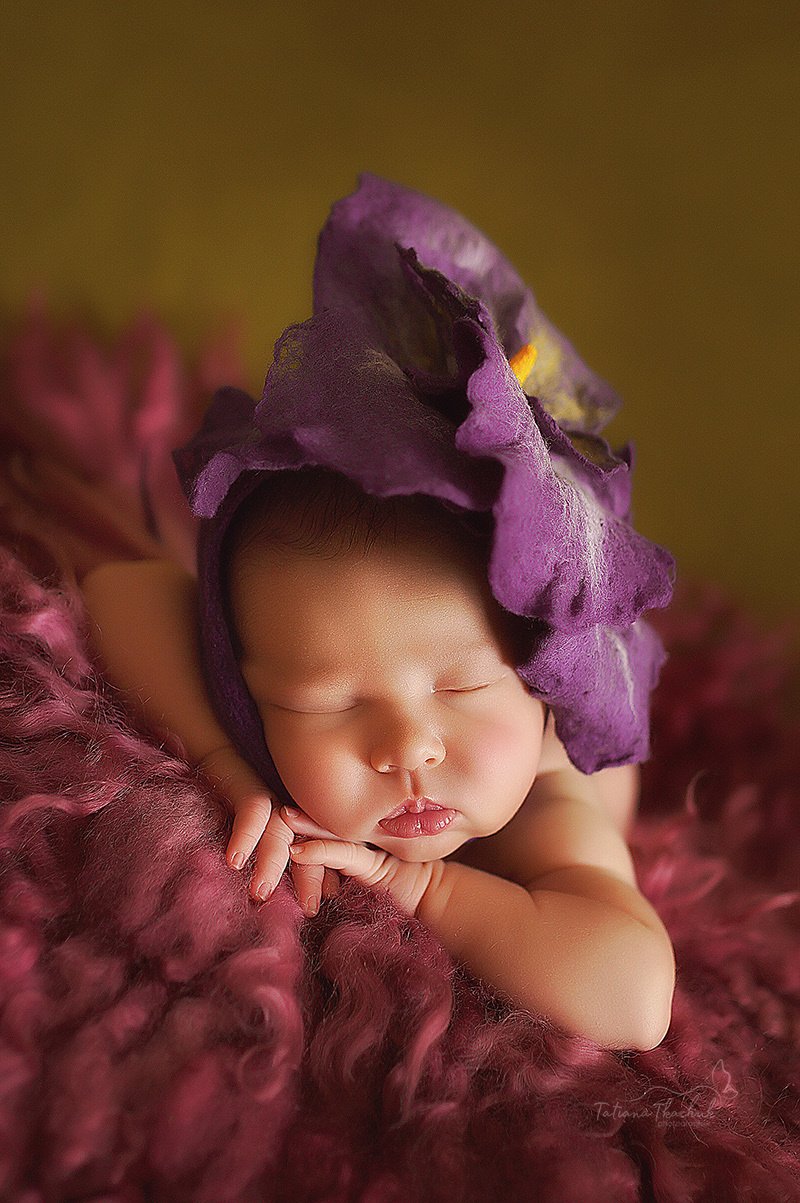 Новорожденные. Фотограф новорожденных беременных в Тюмени Ткачук Татьяна