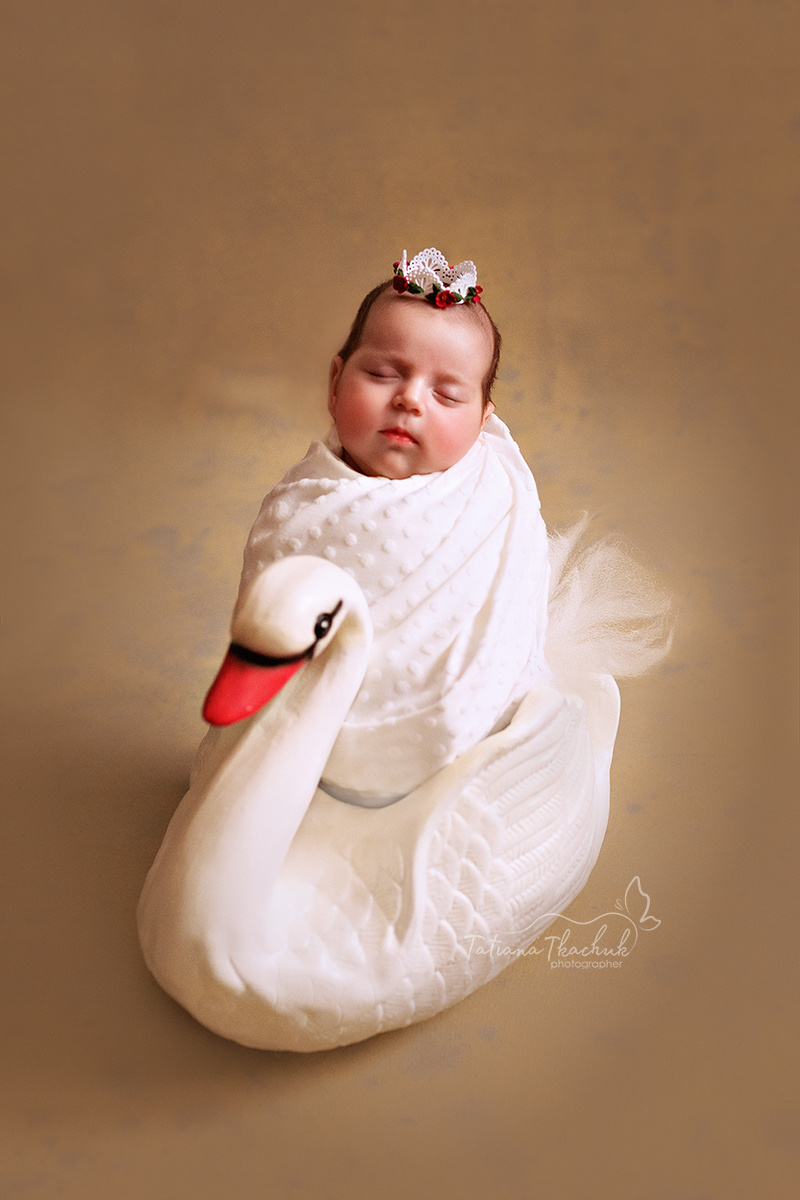 Новорожденные. Фотограф новорожденных беременных в Тюмени Ткачук Татьяна