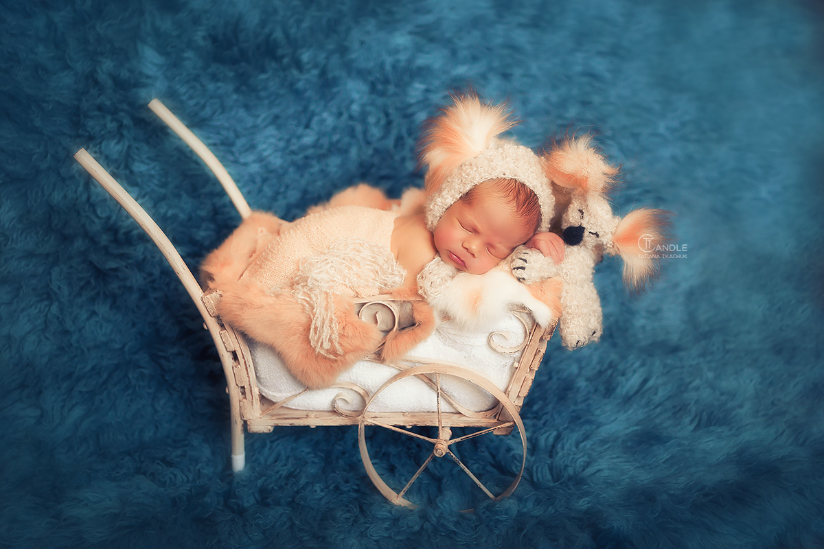 Новорожденные. Фотограф новорожденных беременных в Тюмени Ткачук Татьяна