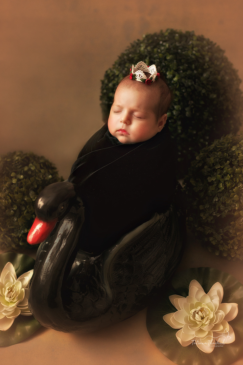 Новорожденные. Фотограф новорожденных беременных в Тюмени Ткачук Татьяна