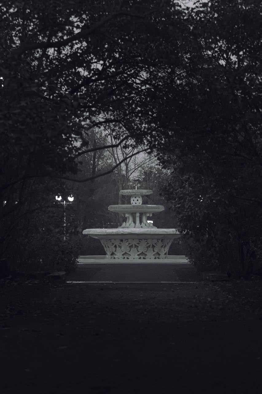 Пейзажи и город