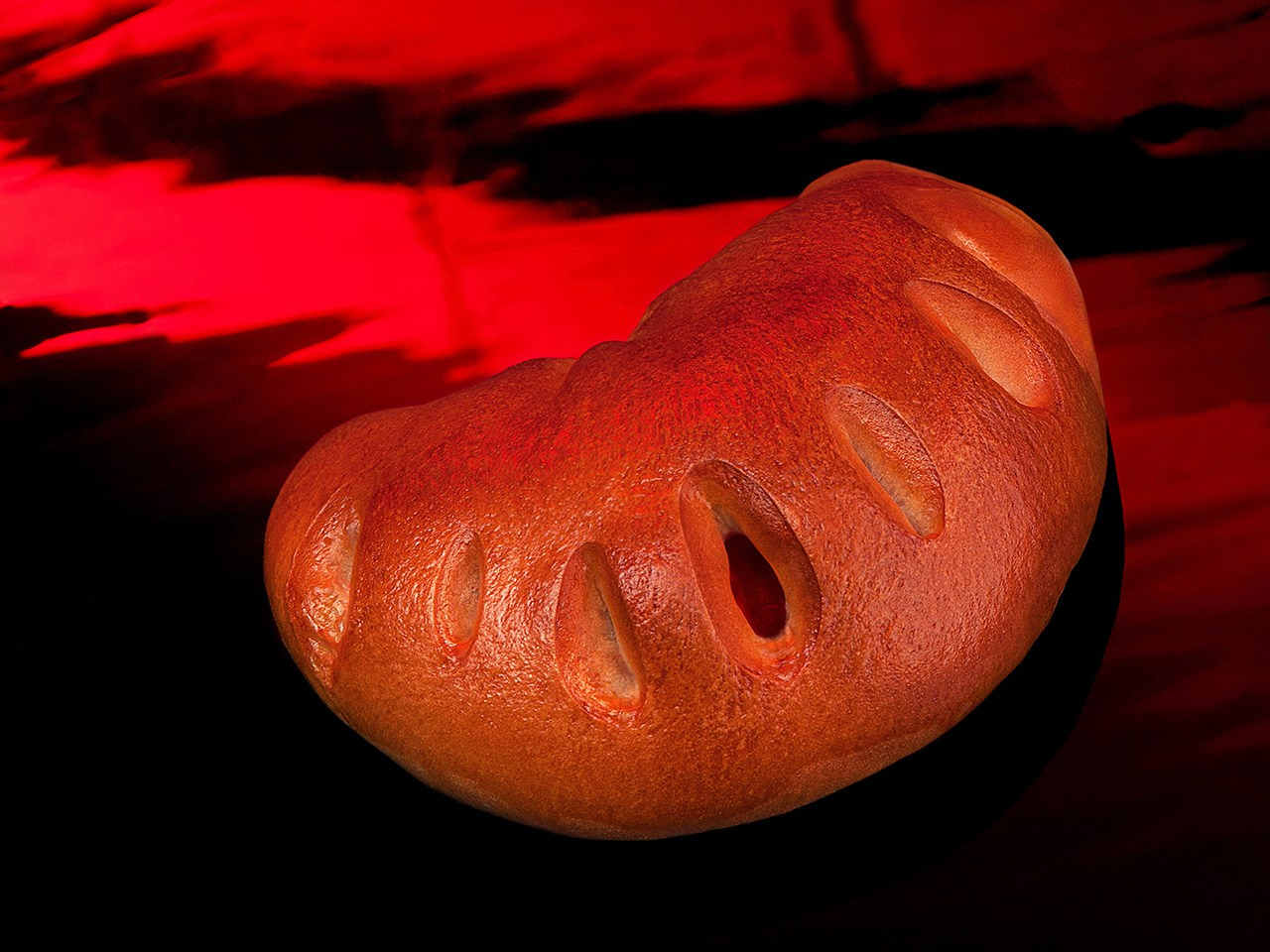 ПОРТФОЛИО. Фотограф Андрей Пономарёв