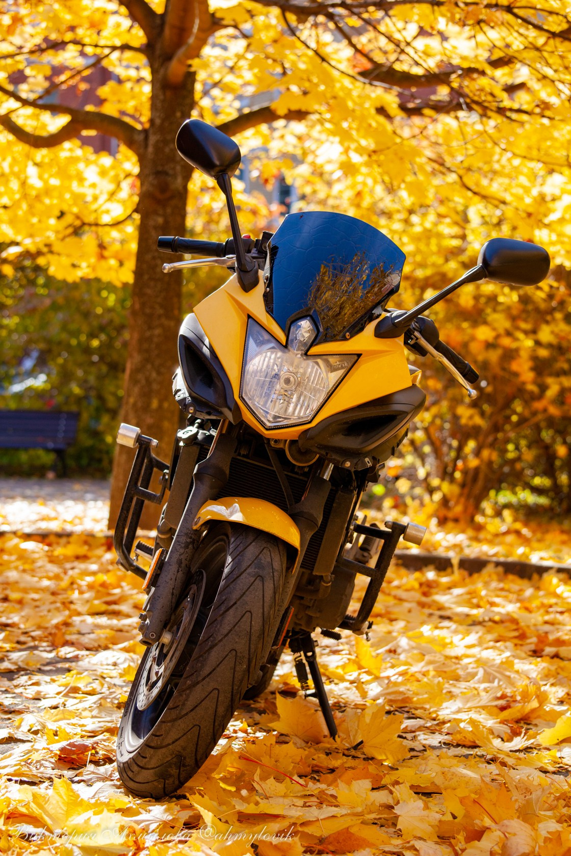 Алина Вартанова (Yamaha Diversion F 600). Виктория Ахмылова. Фотограф в Москве