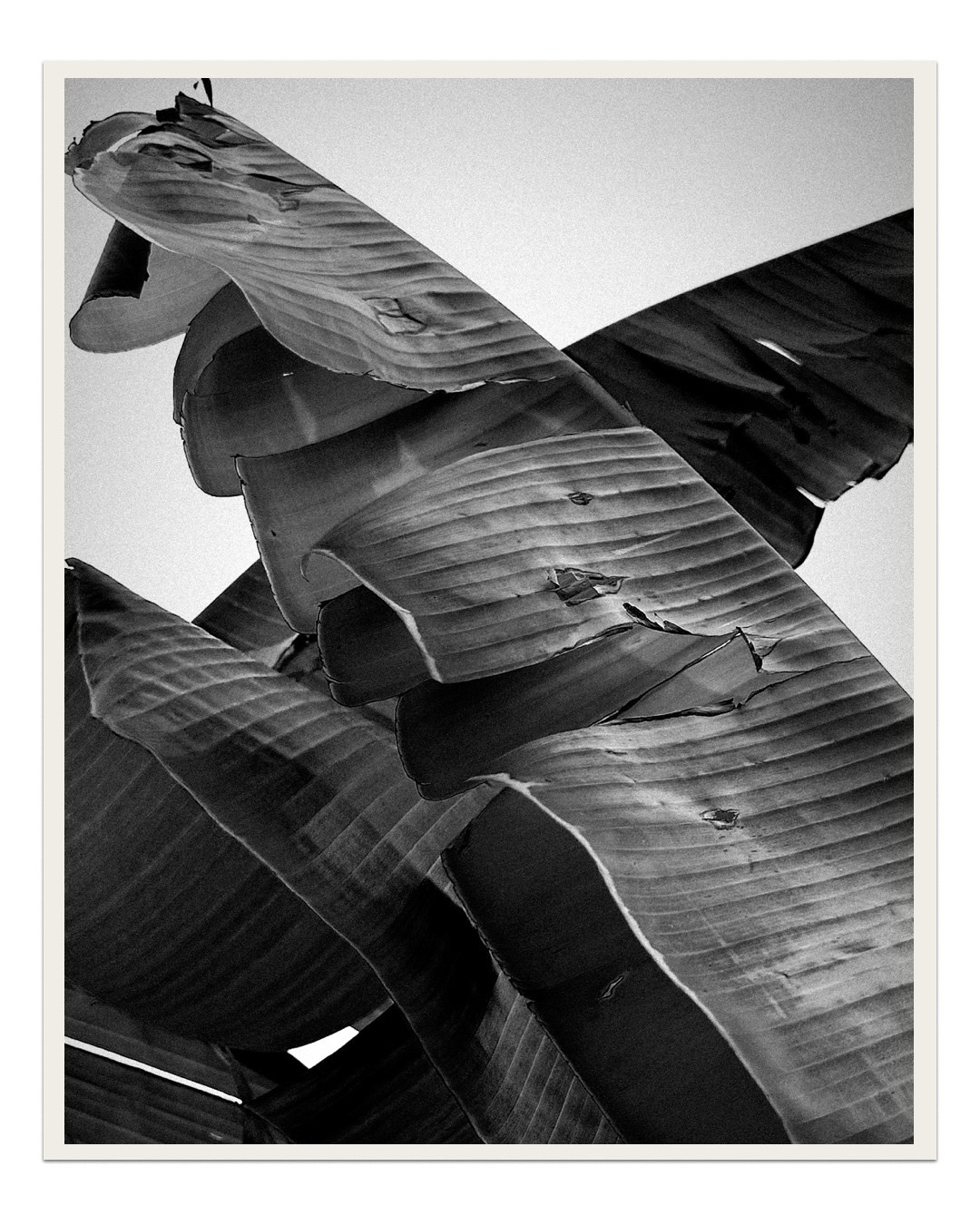 Семейный и ивент фотограф в Москве Мария Маликова