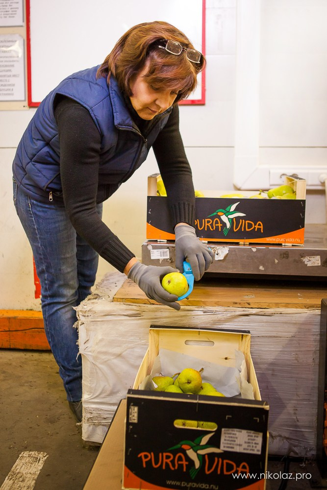 ДИКСИ склад. Видеооператор/Фотограф Николай Завьялов
