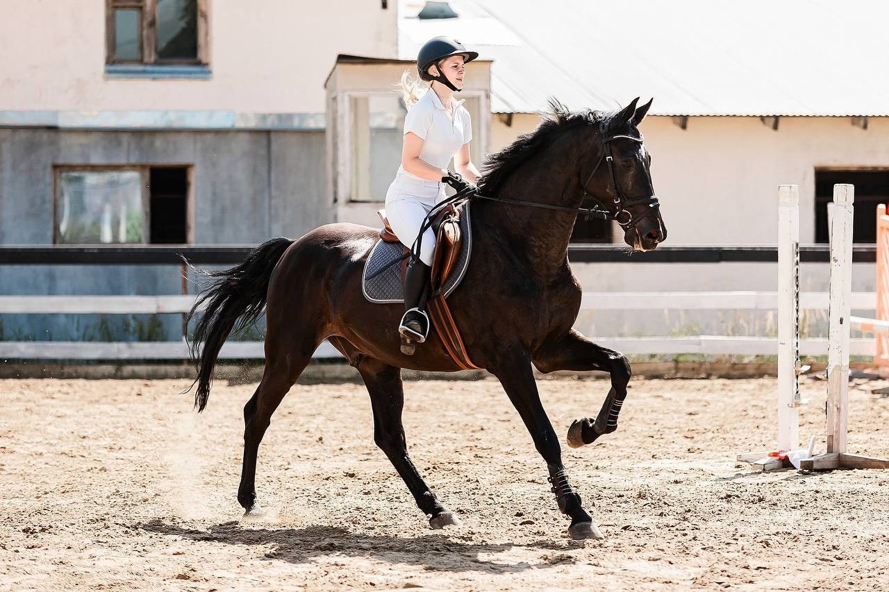 ЛЕТНИЙ КУБОК КСК «СОЗВЕЗДИЕ» по КОНКУРУ. Конный фотограф Куракина Дарья • Фотосессии с лошадьми