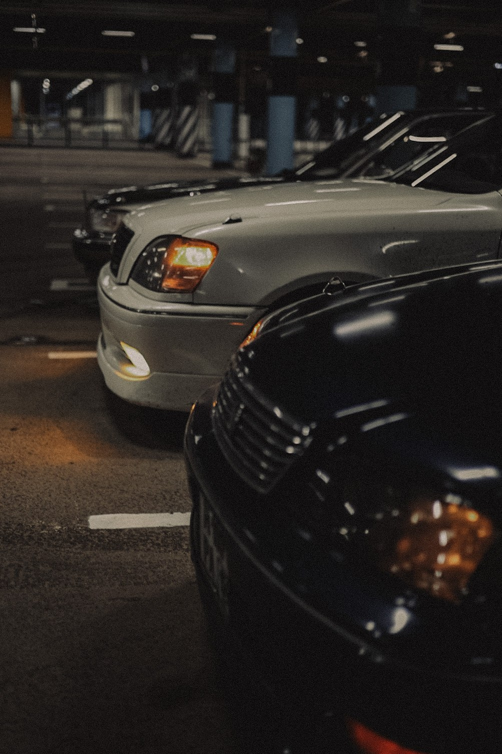 Сходки. Семейный фотограф Полина Легачева