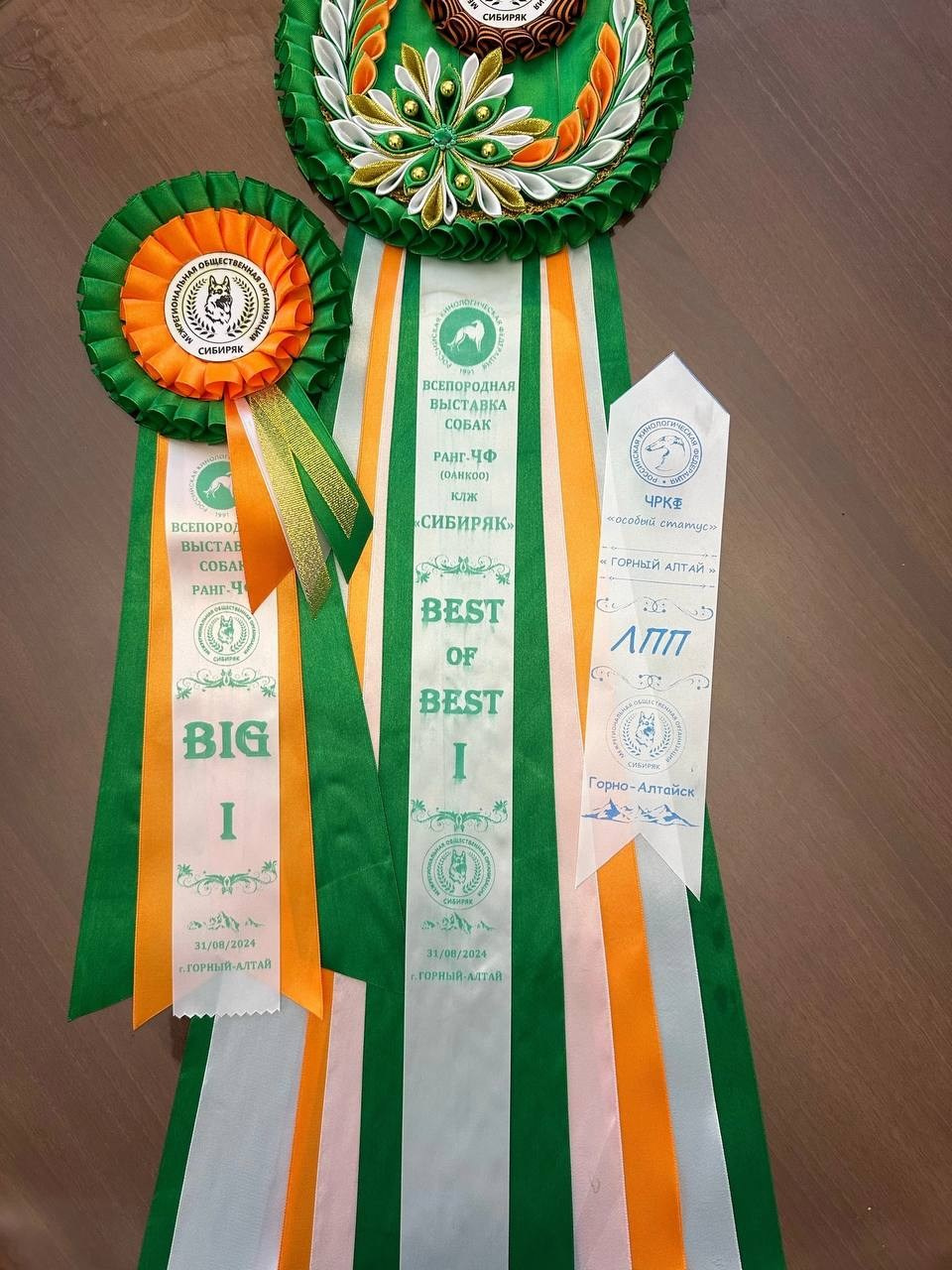 Участие в выставках. Американские булли XL в г. Калининград. Питомник Great Bully UNIVERSE