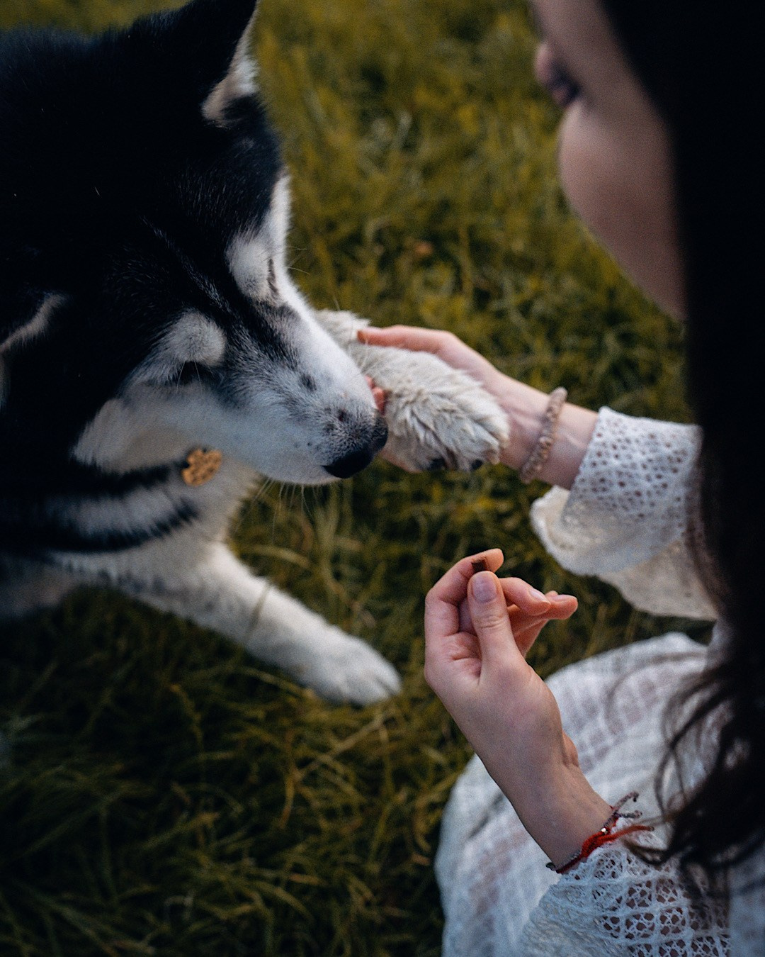 Мария и Вегас. Фотограф анималист в Москве и Санкт-Петербурге Свиридова Анна