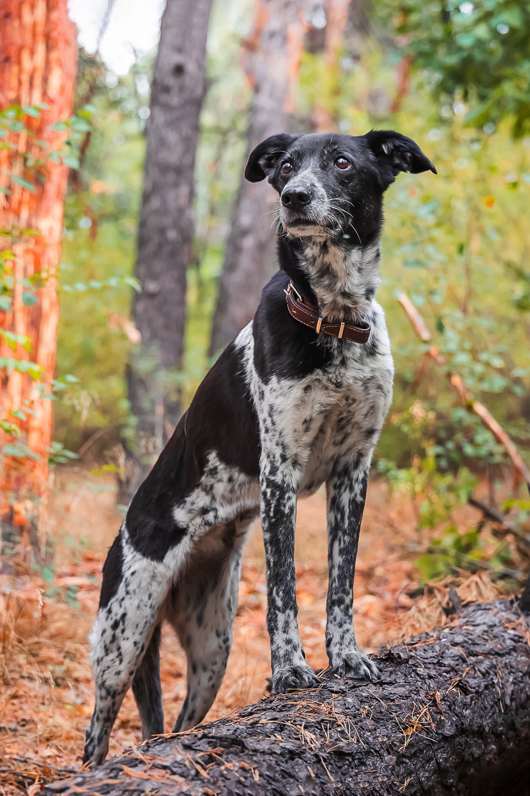 Лариса и Нюша. Фотограф в Саратове Ольга Мазлова