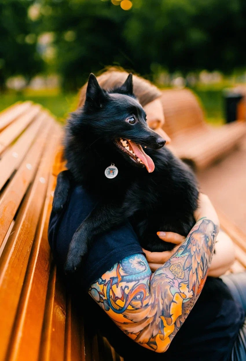 Аня и Тесс. Фотограф анималист в Спб недорого Олеся Майорова