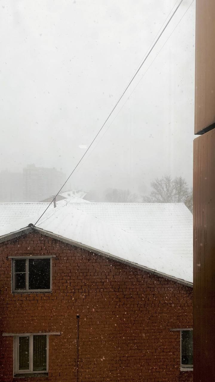 2024. Тащилин Сергей. Фотографии. Жизнь. Хобби