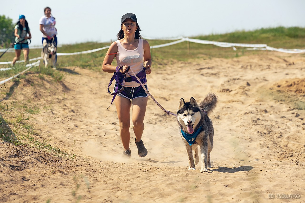 Хвостатый драйв. Свадебный и репортажный фотограф в Москве и Московской области