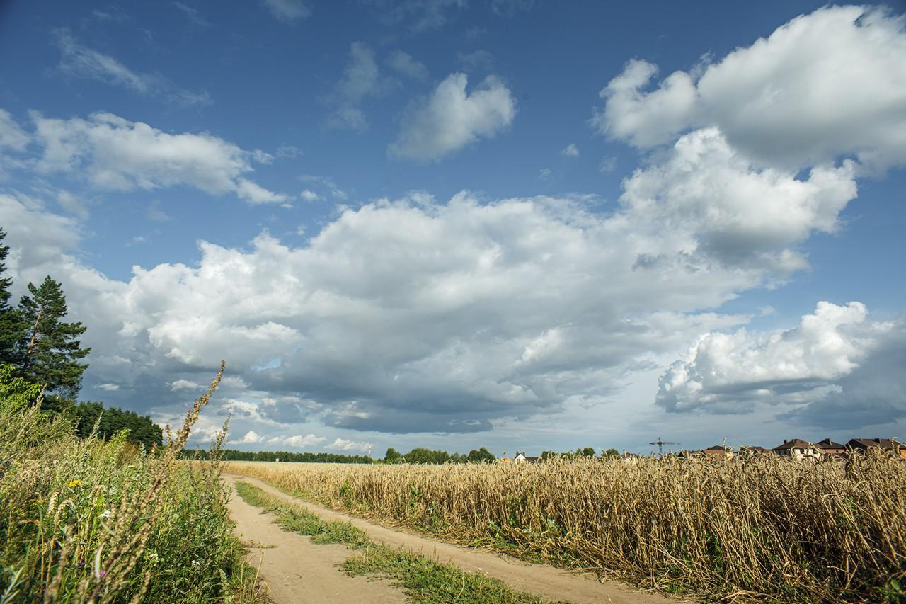 Пейзажи. Свадебный и репортажный фотограф в Москве и Московской области