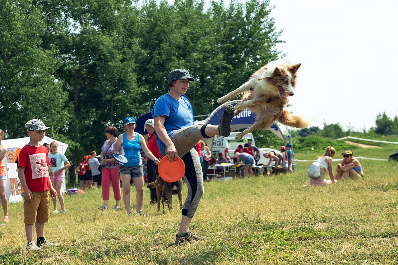 Хвостатый драйв. Свадебный и репортажный фотограф в Москве и Московской области
