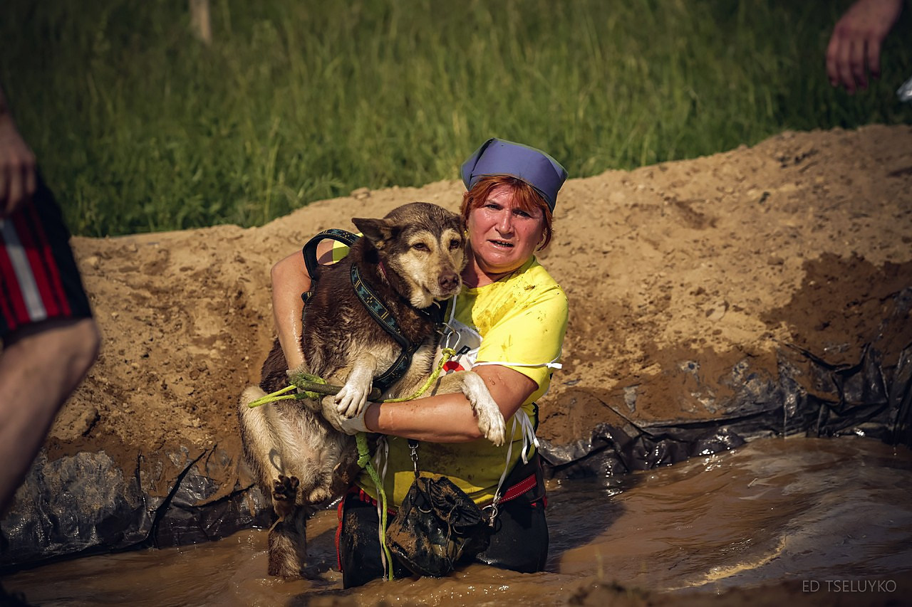 Хвостатый драйв. Свадебный и репортажный фотограф в Москве и Московской области