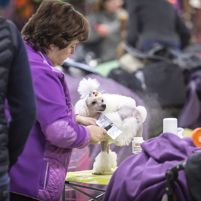 Выставка. Свадебный и репортажный фотограф в Москве и Московской области