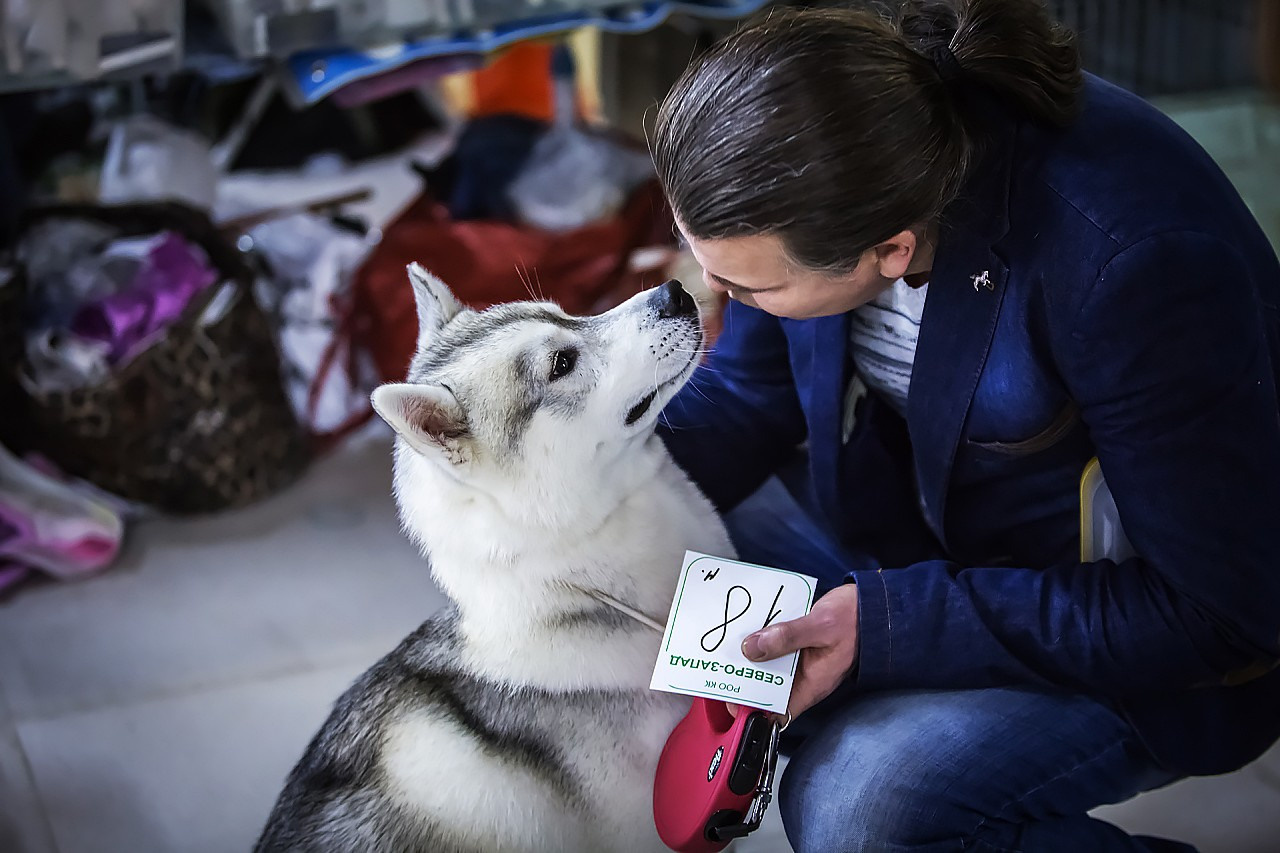 Выставка. Свадебный и репортажный фотограф в Москве и Московской области