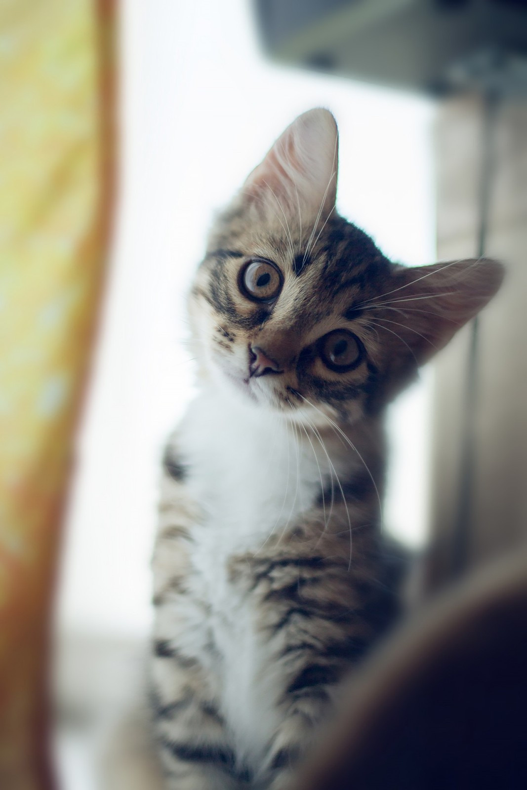 Геральт. Свадебный и репортажный фотограф в Москве и Московской области