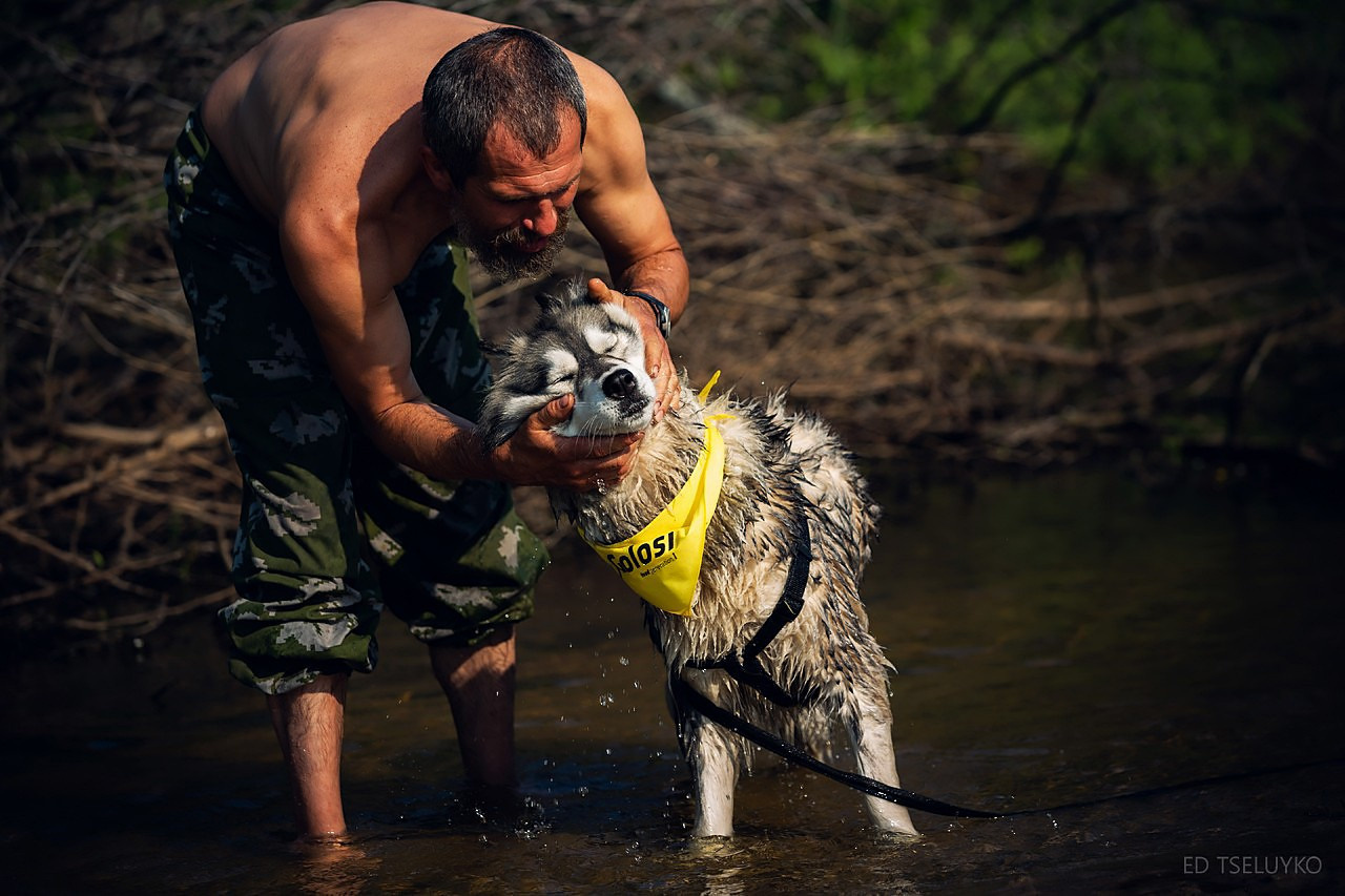 Хвостатый драйв. Свадебный и репортажный фотограф в Москве и Московской области