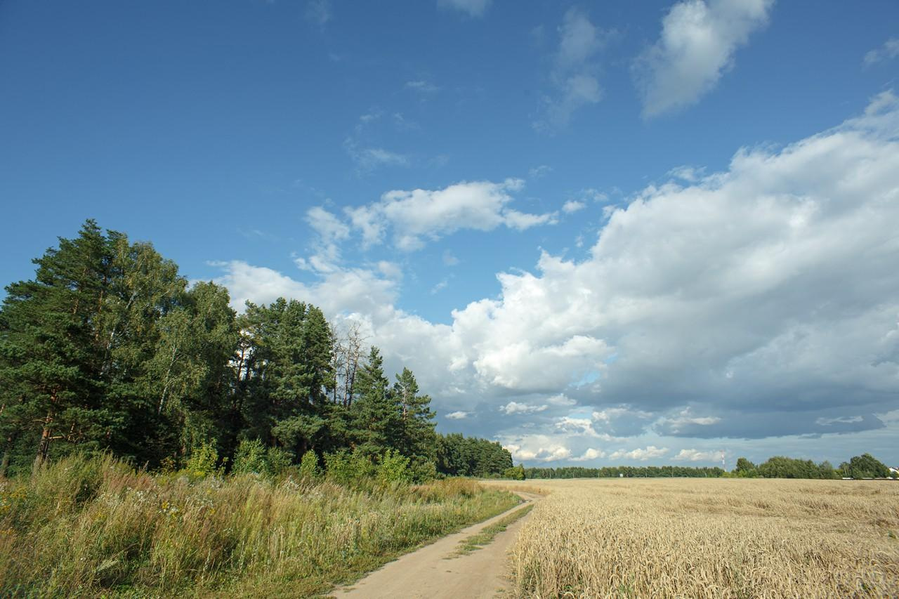 Пейзажи. Свадебный и репортажный фотограф в Москве и Московской области