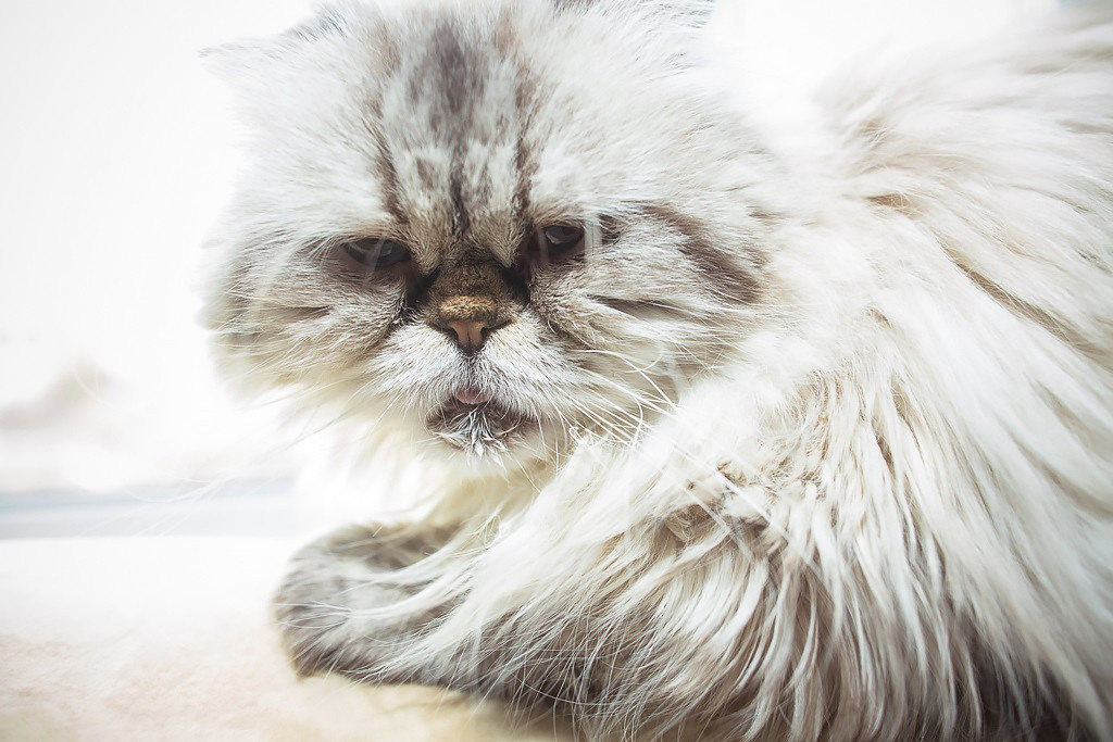 Случайные фотографии. Свадебный и репортажный фотограф в Москве и Московской области