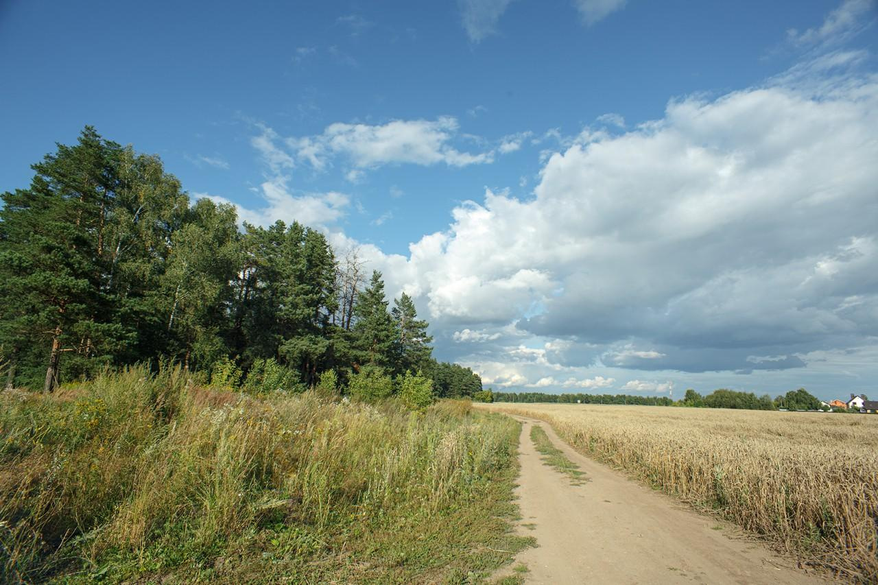 Пейзажи. Свадебный и репортажный фотограф в Москве и Московской области