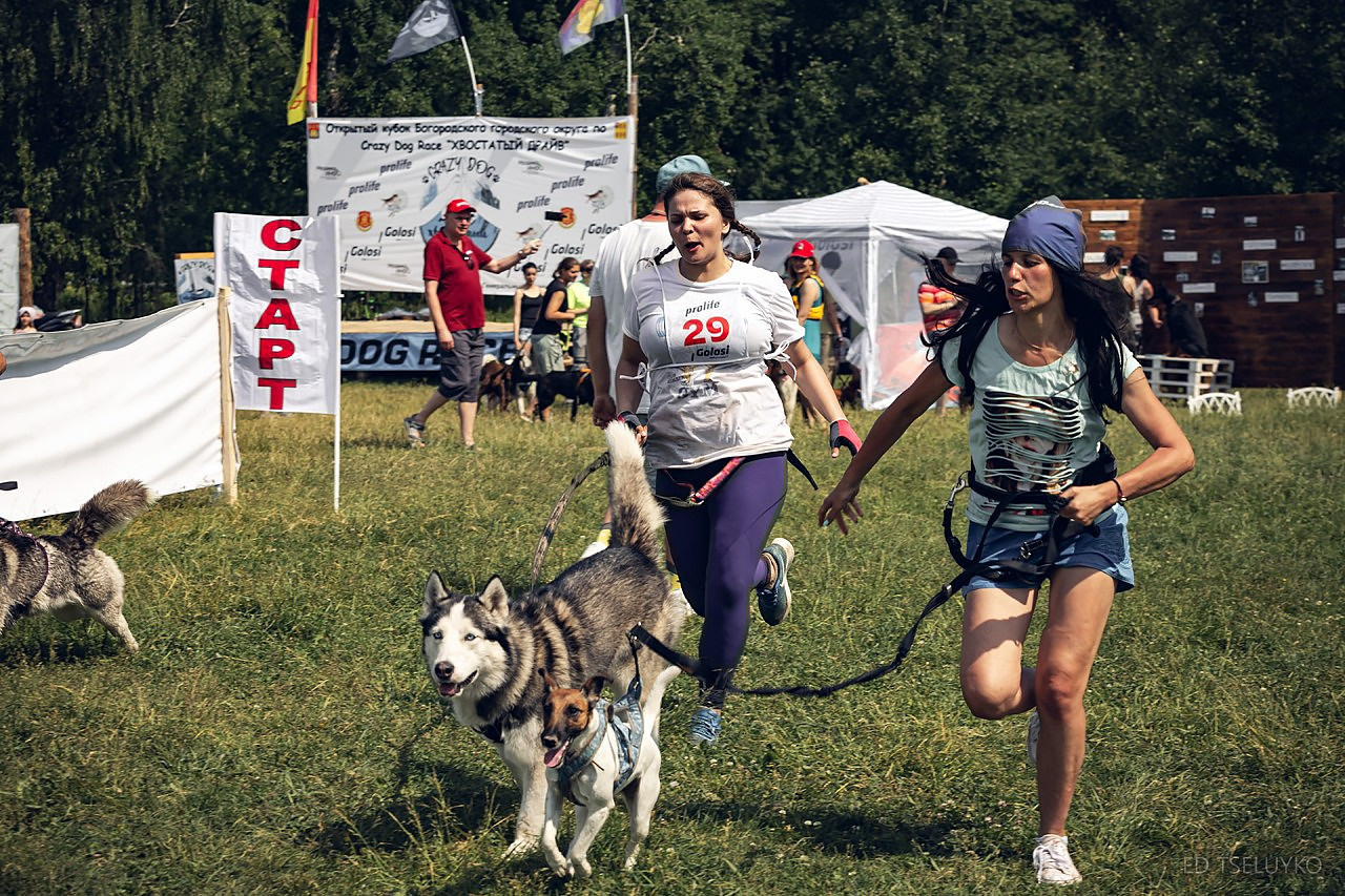 Хвостатый драйв. Свадебный и репортажный фотограф в Москве и Московской области