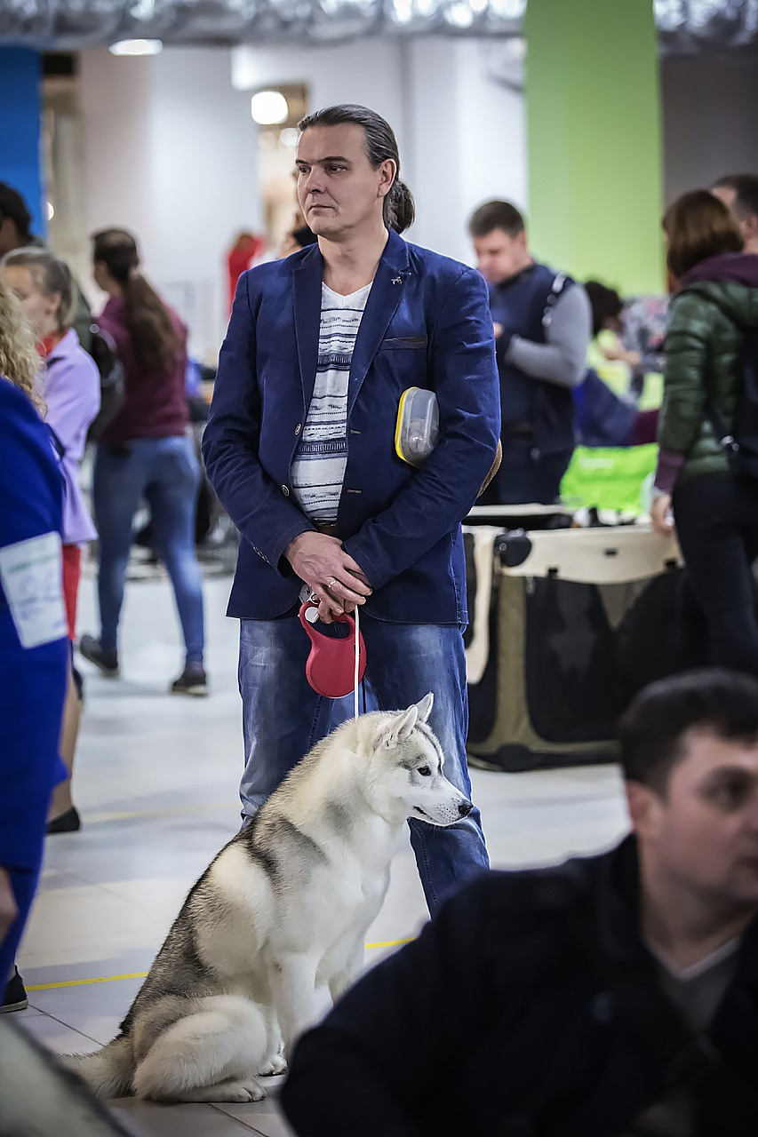 Выставка. Свадебный и репортажный фотограф в Москве и Московской области