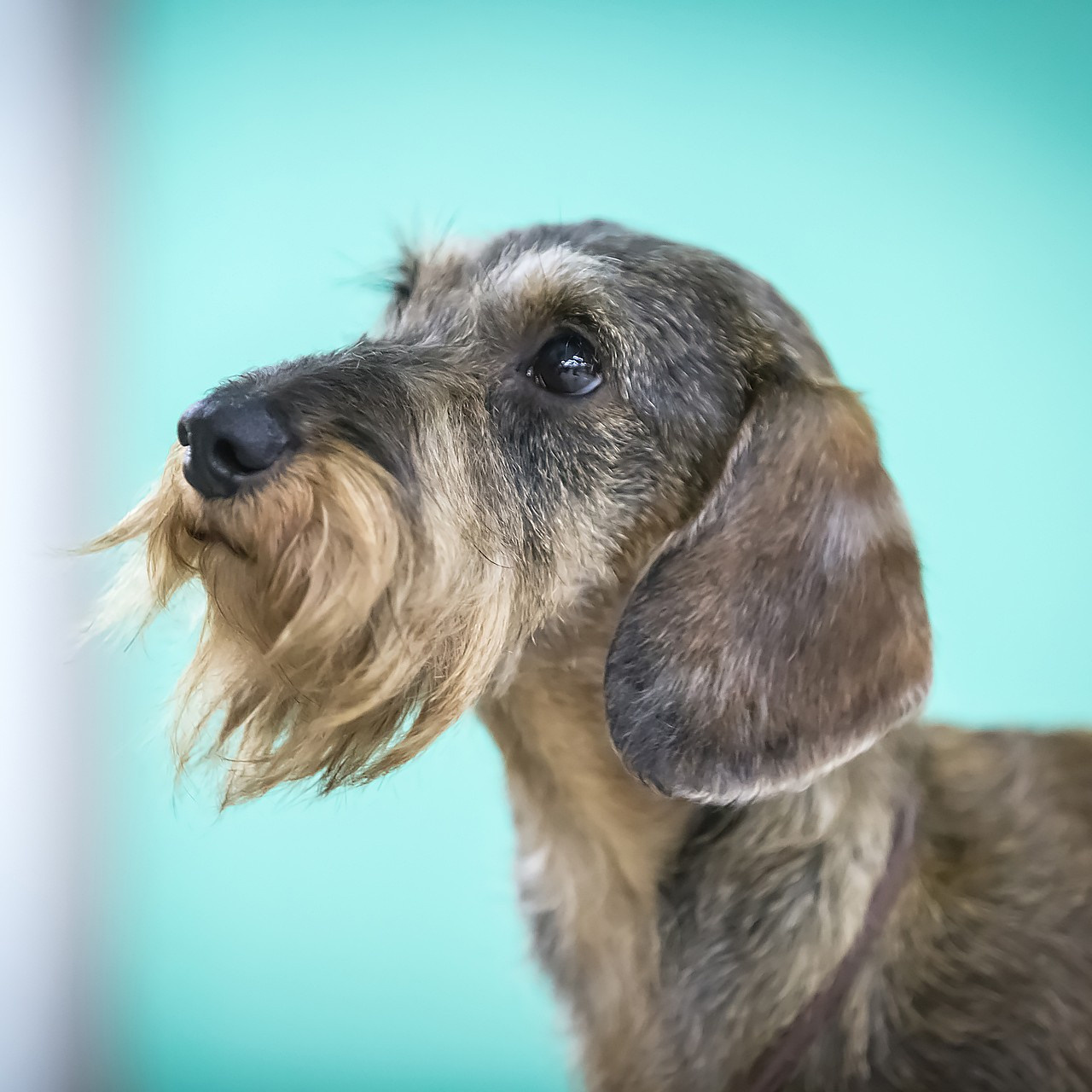 Выставка. Свадебный и репортажный фотограф в Москве и Московской области
