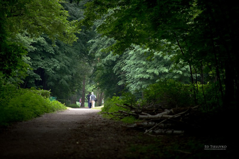 Пейзажи. Свадебный и репортажный фотограф в Москве и Московской области