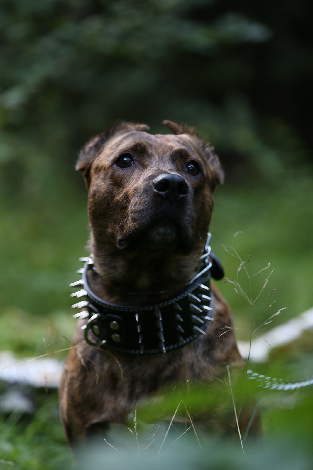 Фотосессии. Свадебный и репортажный фотограф в Москве и Московской области