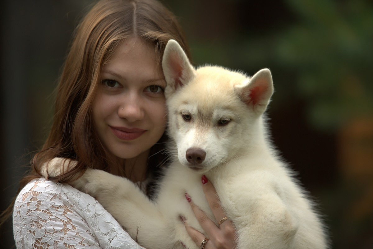 Хаски. Свадебный и репортажный фотограф в Москве и Московской области