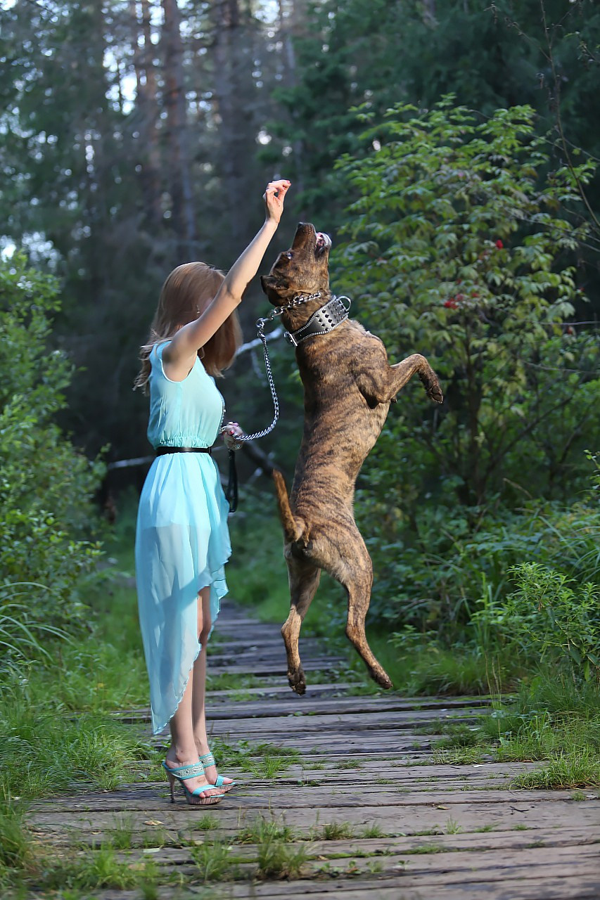 Фотосессии. Свадебный и репортажный фотограф в Москве и Московской области