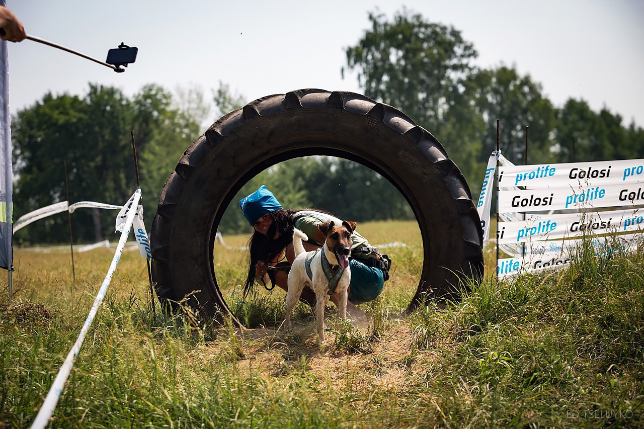 Хвостатый драйв. Свадебный и репортажный фотограф в Москве и Московской области