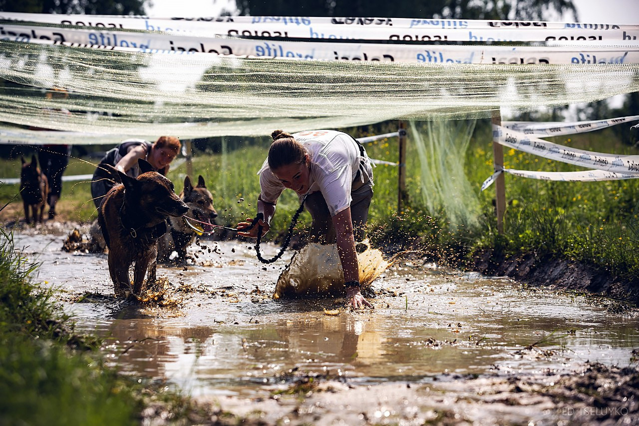 Хвостатый драйв. Свадебный и репортажный фотограф в Москве и Московской области