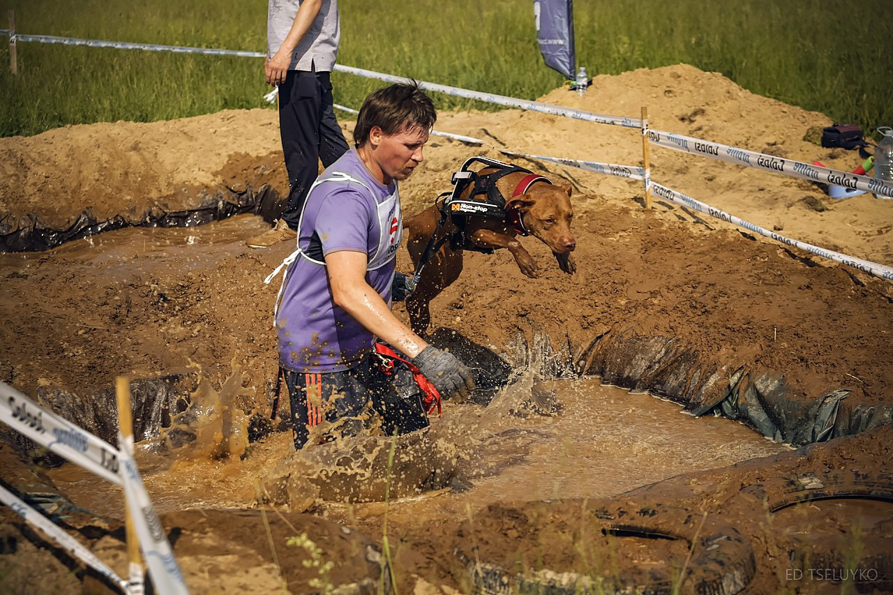 Хвостатый драйв. Свадебный и репортажный фотограф в Москве и Московской области