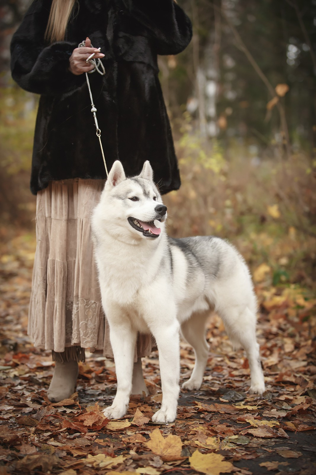 Хаски. Свадебный и репортажный фотограф в Москве и Московской области