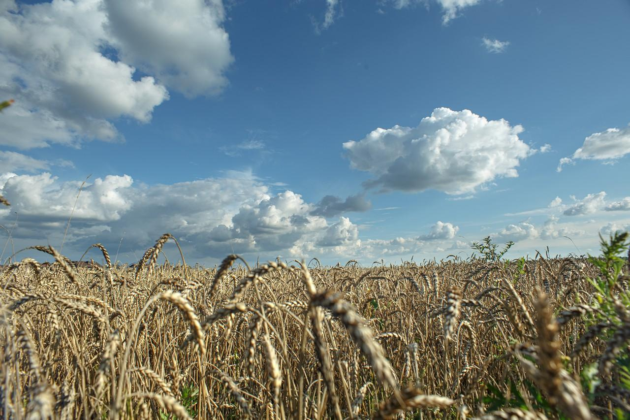 Пейзажи. Свадебный и репортажный фотограф в Москве и Московской области