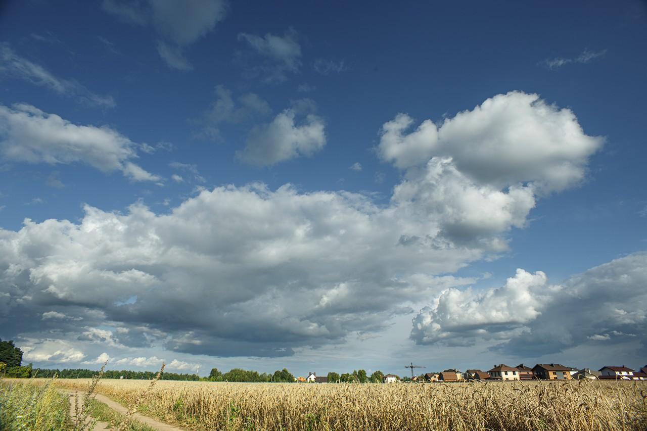Пейзажи. Свадебный и репортажный фотограф в Москве и Московской области