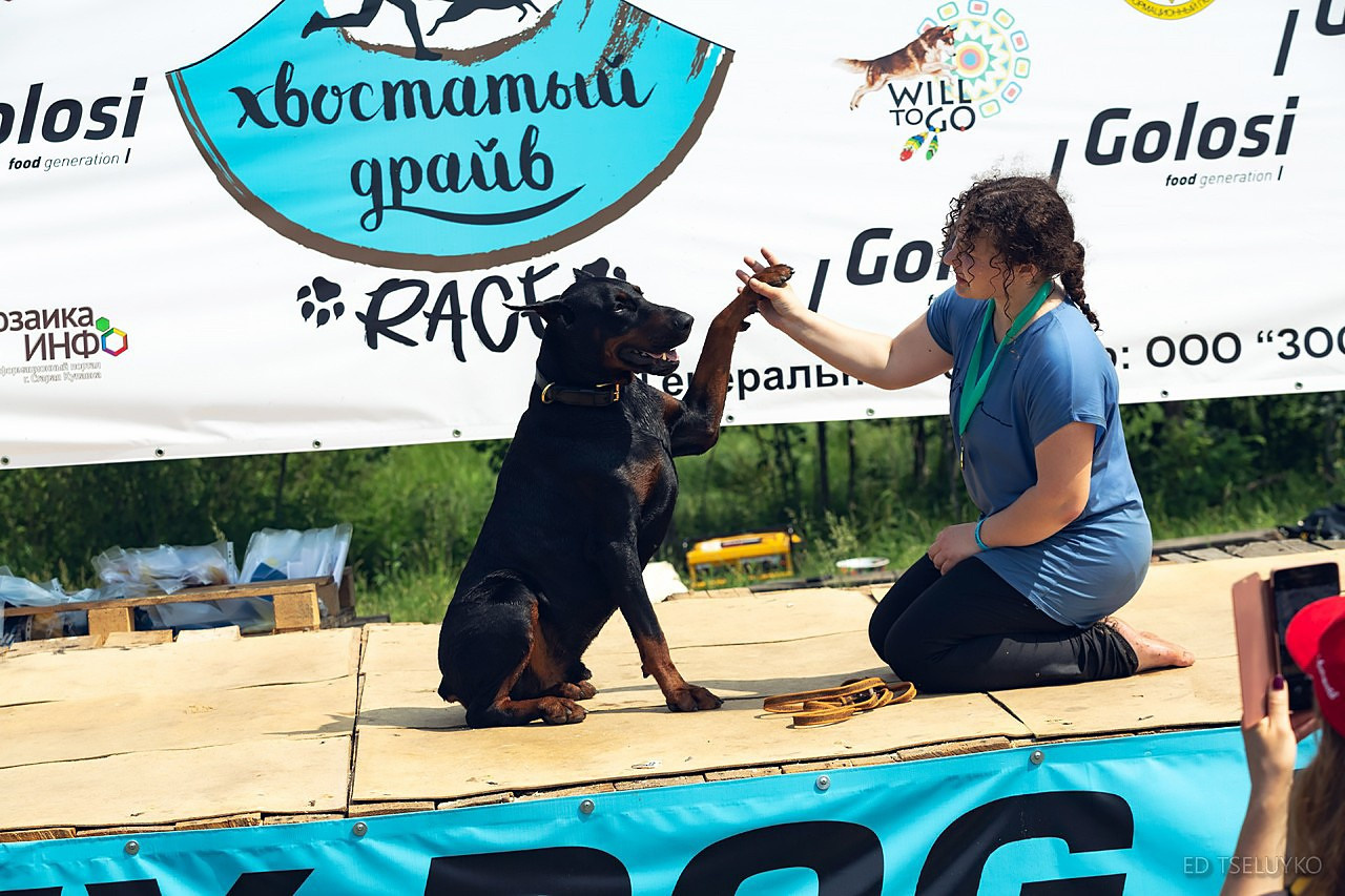 Хвостатый драйв. Свадебный и репортажный фотограф в Москве и Московской области