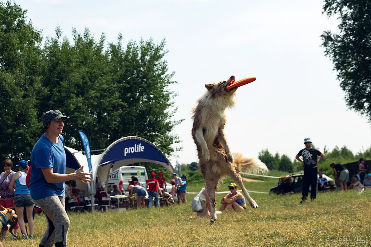 Хвостатый драйв. Свадебный и репортажный фотограф в Москве и Московской области