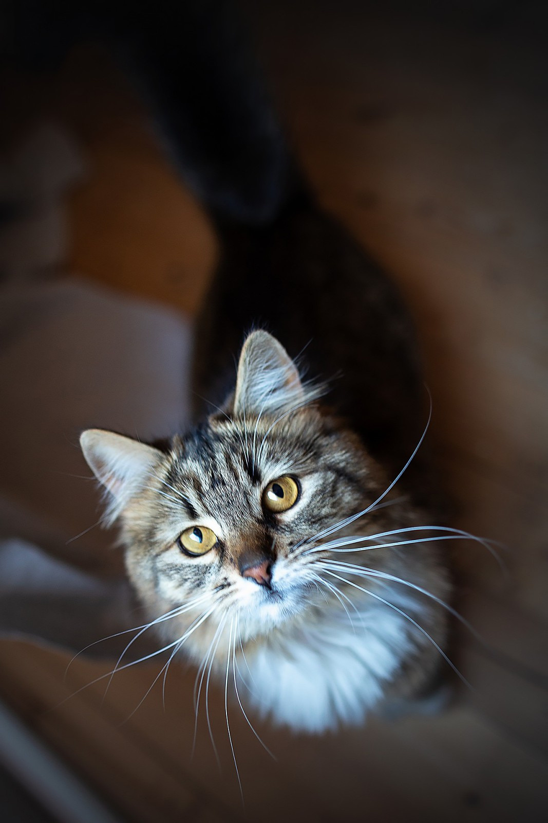 Случайные фотографии. Свадебный и репортажный фотограф в Москве и Московской области