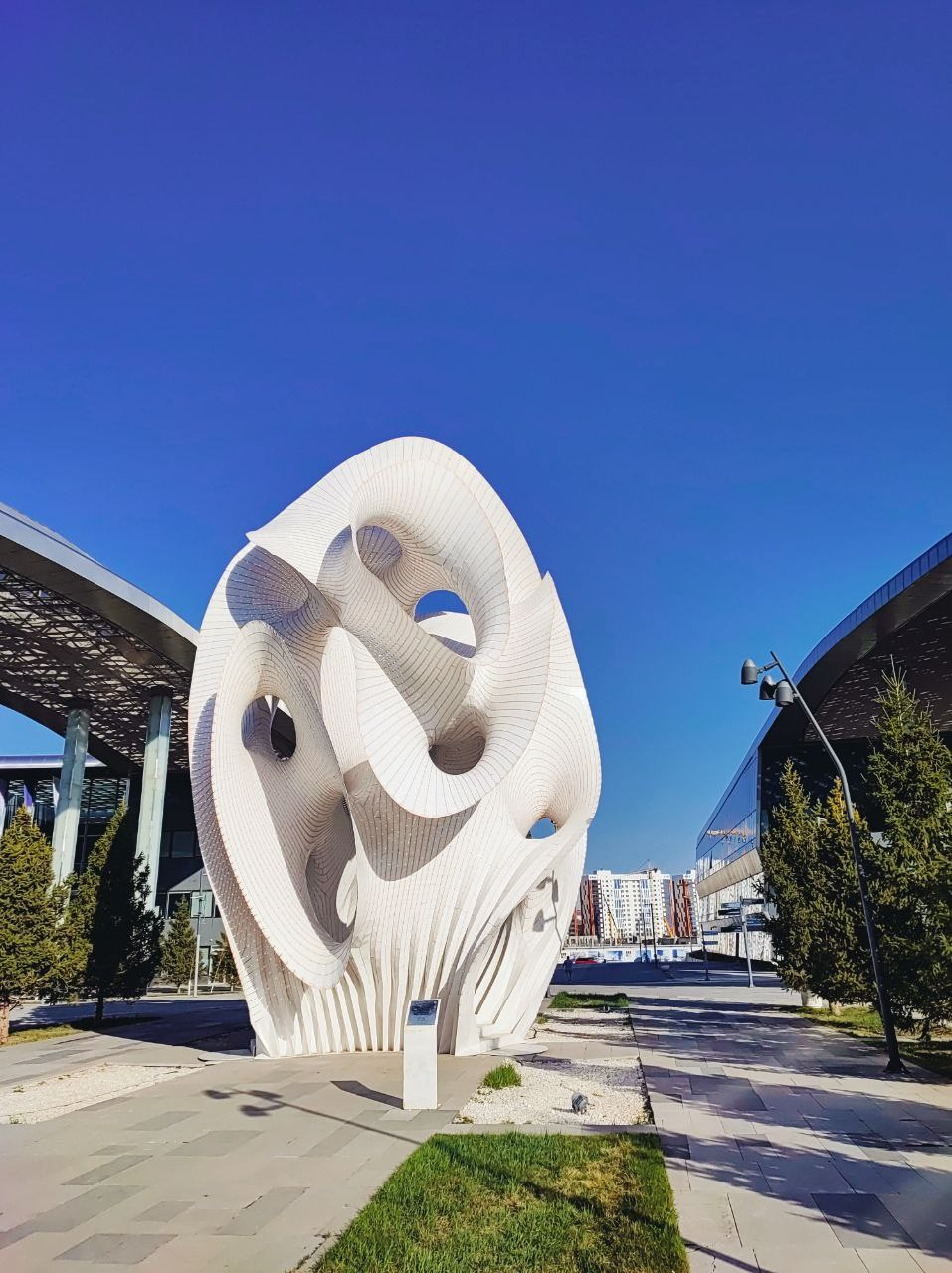 Намобилкус казахский. Репортажный фотограф Алексей Пирязев