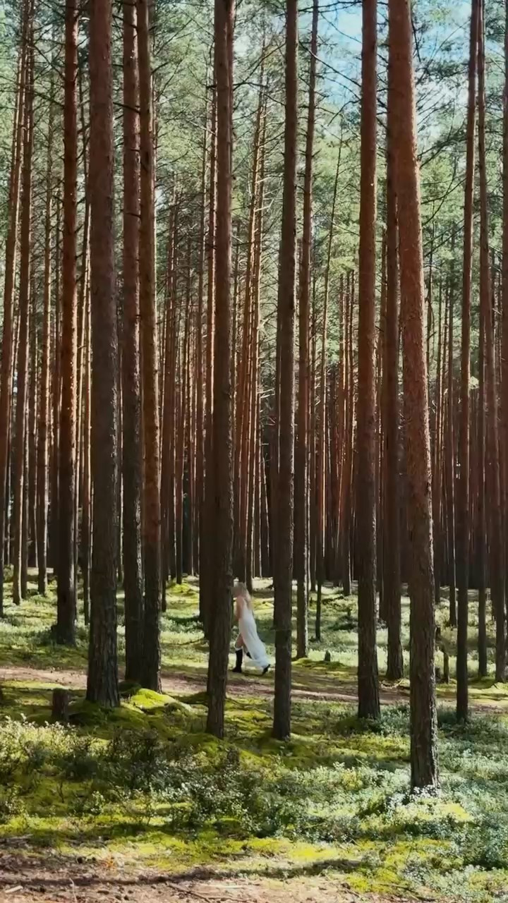 Видеоистории. Фотограф/видеограф в Твери Алина Емельянова