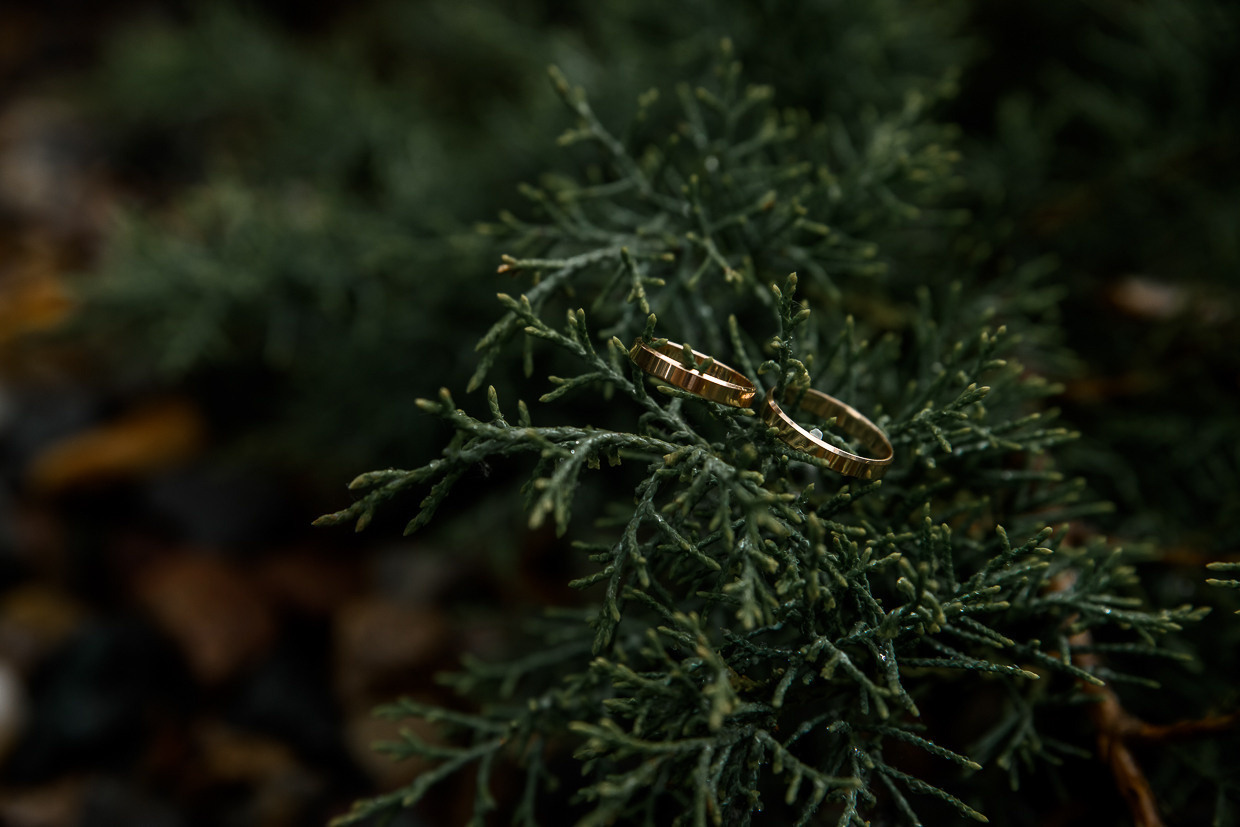 Даниил & Анастасия. Свадебный и семейный фотограф Москва, Иваново Андрей Перфилов