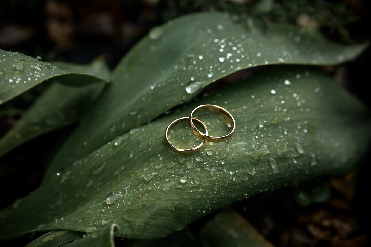 Даниил & Анастасия. Свадебный и семейный фотограф Москва, Иваново Андрей Перфилов