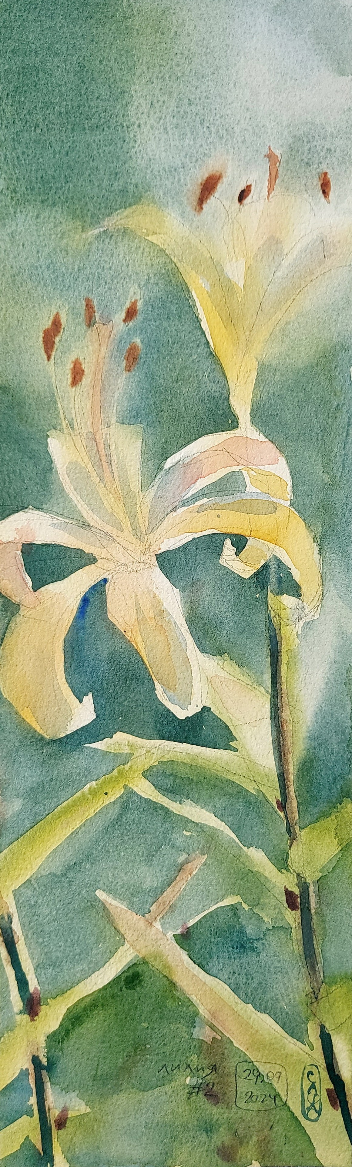 Flowers. Alexander Manaenkov | Watercolor Artist from Siberia